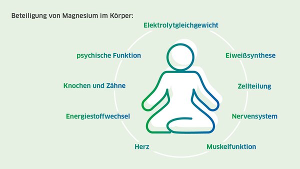 Wozu braucht der Mensch Magnesium